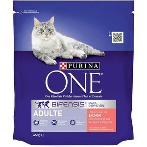 Croquettes purina one saumon 450g